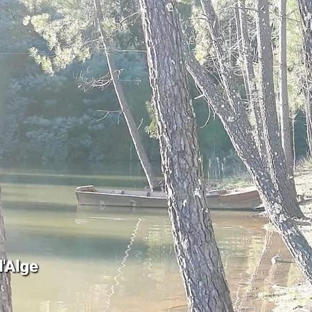 Casa da Vila Figueiro Dos Vinhos Bagian luar foto