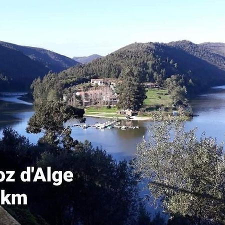 Casa da Vila Figueiro Dos Vinhos Bagian luar foto