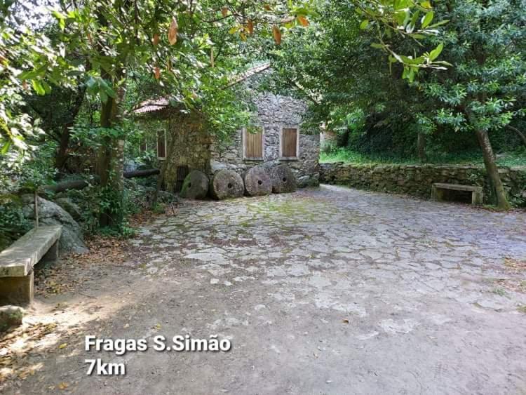 Casa da Vila Figueiro Dos Vinhos Bagian luar foto