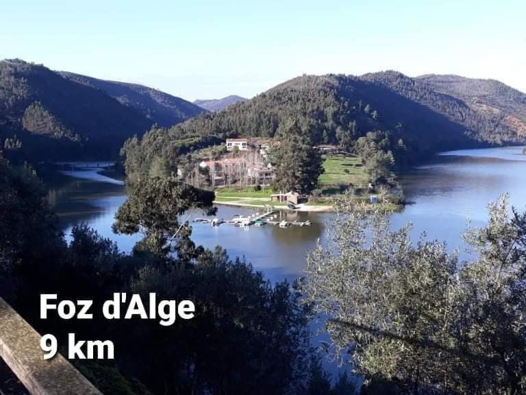 Casa da Vila Figueiro Dos Vinhos Bagian luar foto